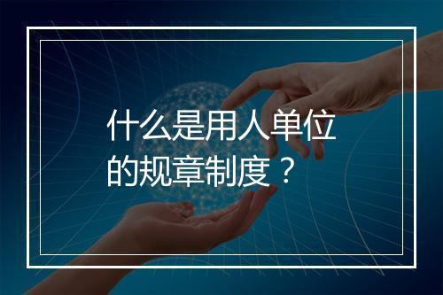 什么是用人单位的规章制度？