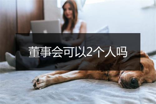 董事会可以2个人吗