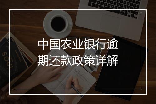 中国农业银行逾期还款政策详解