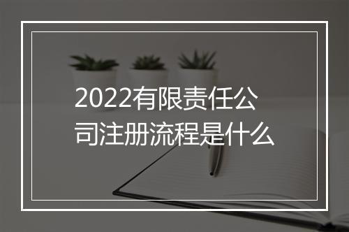 2022有限责任公司注册流程是什么