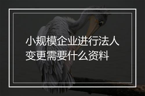 小规模企业进行法人变更需要什么资料