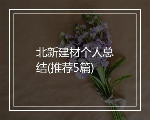 北新建材个人总结(推荐5篇)