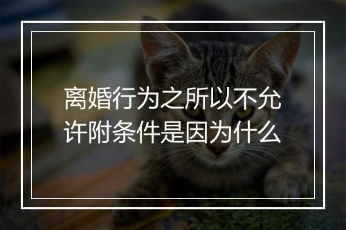 离婚行为之所以不允许附条件是因为什么