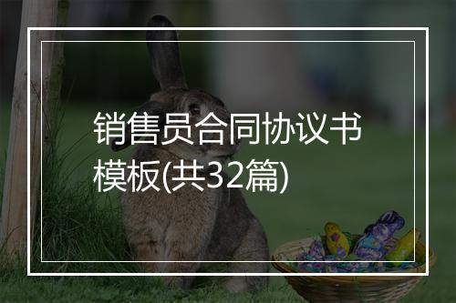 销售员合同协议书模板(共32篇)