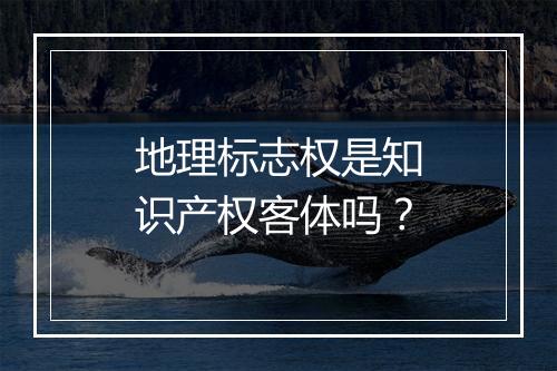 地理标志权是知识产权客体吗？
