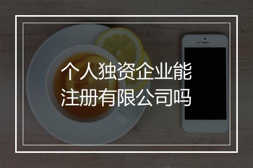 个人独资企业能注册有限公司吗