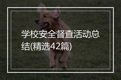 学校安全督查活动总结(精选42篇)