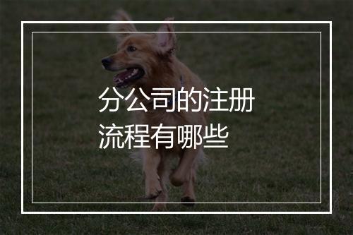 分公司的注册流程有哪些