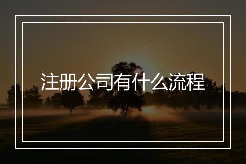 注册公司有什么流程