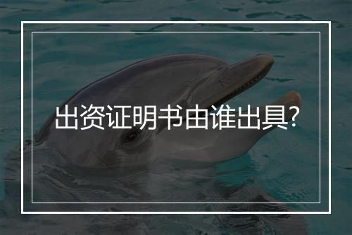 出资证明书由谁出具?