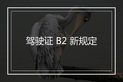 驾驶证 B2 新规定