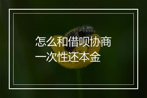 怎么和借呗协商一次性还本金
