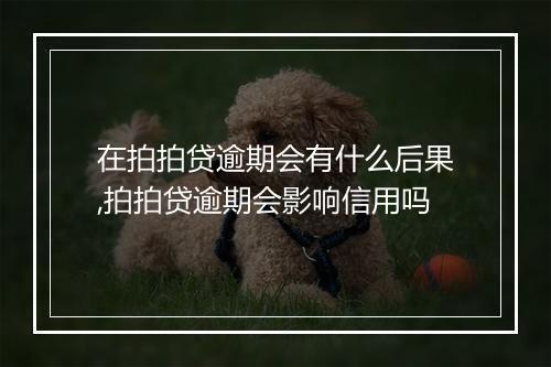 在拍拍贷逾期会有什么后果,拍拍贷逾期会影响信用吗