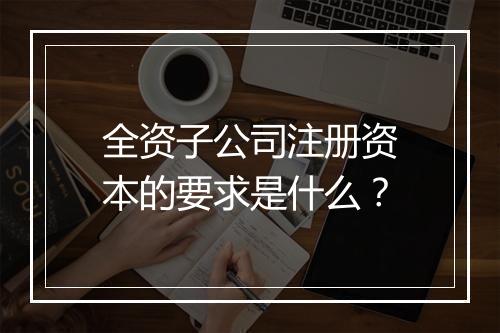 全资子公司注册资本的要求是什么？
