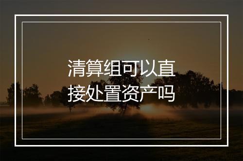 清算组可以直接处置资产吗