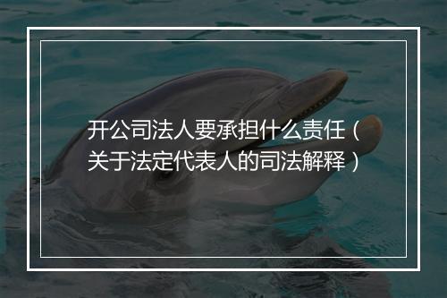 开公司法人要承担什么责任（关于法定代表人的司法解释）
