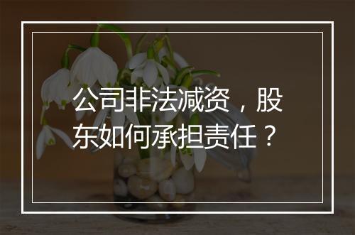 公司非法减资，股东如何承担责任？