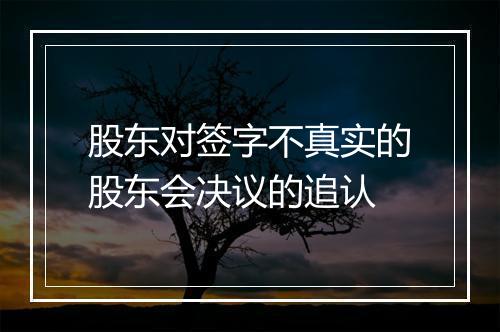 股东对签字不真实的股东会决议的追认