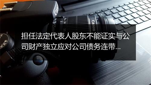 担任法定代表人股东不能证实与公司财产独立应对公司债务连带责任