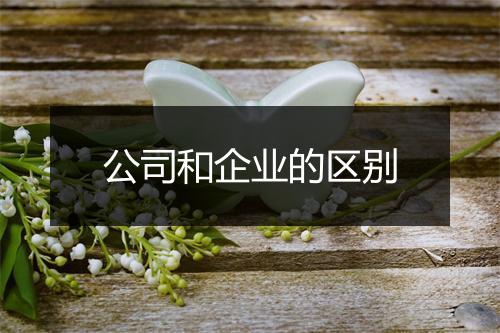 公司和企业的区别