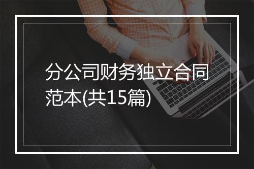 分公司财务独立合同范本(共15篇)