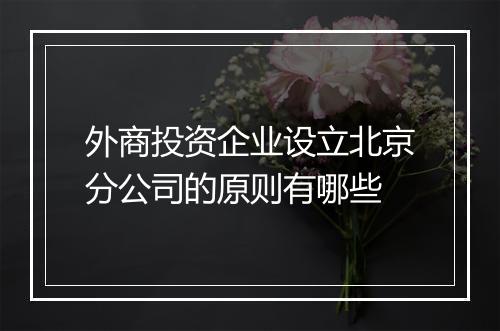 外商投资企业设立北京分公司的原则有哪些