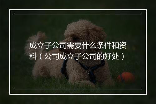 成立子公司需要什么条件和资料（公司成立子公司的好处）