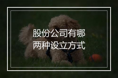 股份公司有哪两种设立方式