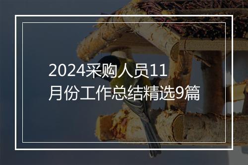 2024采购人员11月份工作总结精选9篇