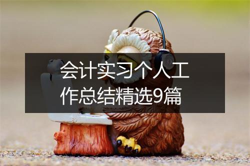 会计实习个人工作总结精选9篇