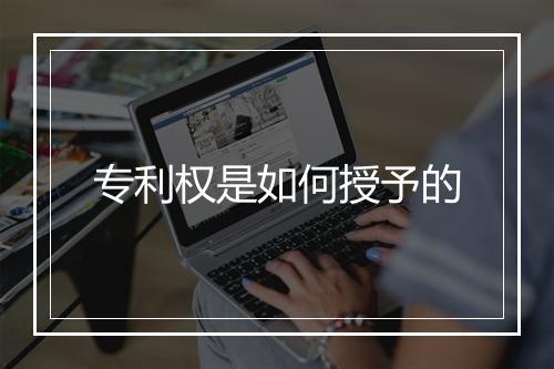 专利权是如何授予的