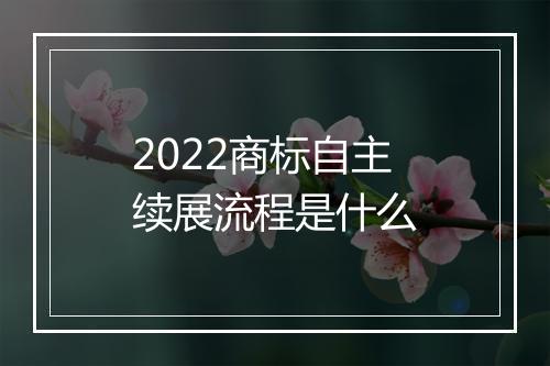 2022商标自主续展流程是什么