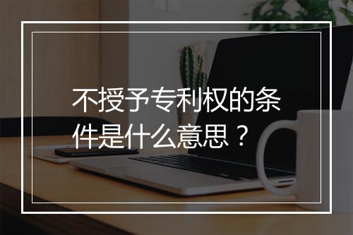 不授予专利权的条件是什么意思？