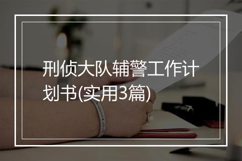 刑侦大队辅警工作计划书(实用3篇)