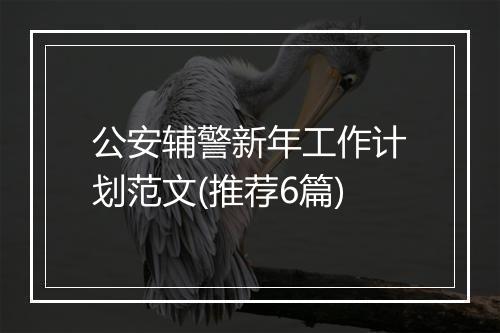 公安辅警新年工作计划范文(推荐6篇)