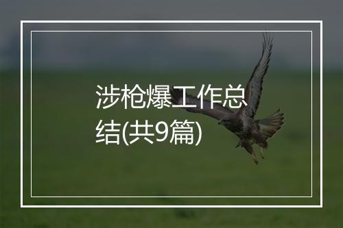 涉枪爆工作总结(共9篇)