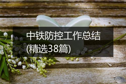 中铁防控工作总结(精选38篇)