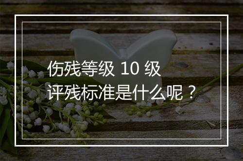 伤残等级 10 级评残标准是什么呢？