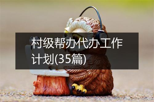 村级帮办代办工作计划(35篇)