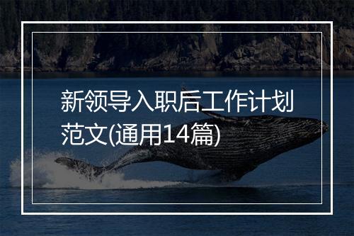 新领导入职后工作计划范文(通用14篇)