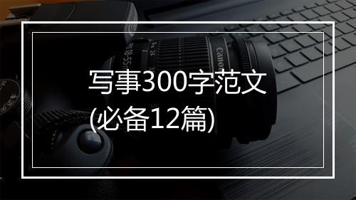 写事300字范文(必备12篇)