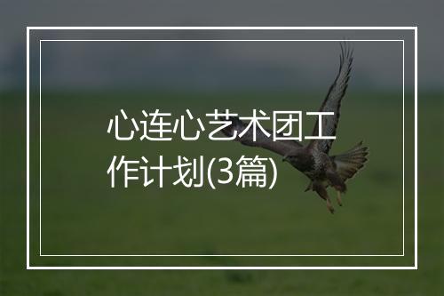 心连心艺术团工作计划(3篇)