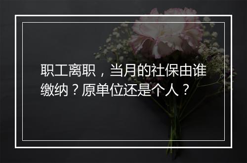 职工离职，当月的社保由谁缴纳？原单位还是个人？