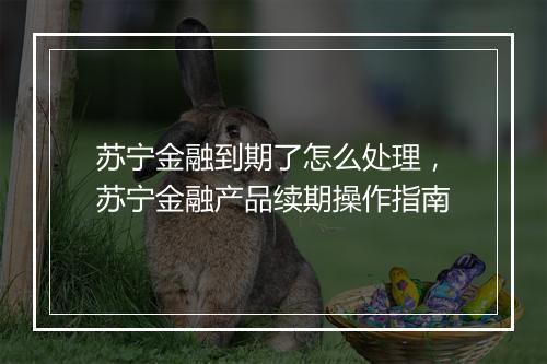 苏宁金融到期了怎么处理，苏宁金融产品续期操作指南