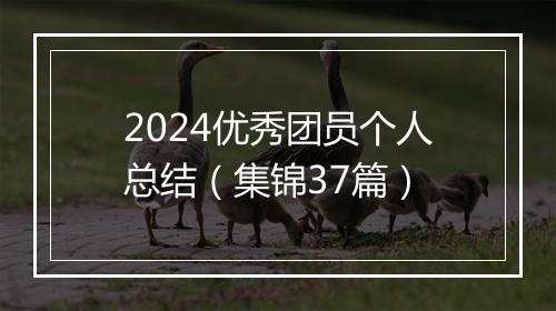 2024优秀团员个人总结（集锦37篇）