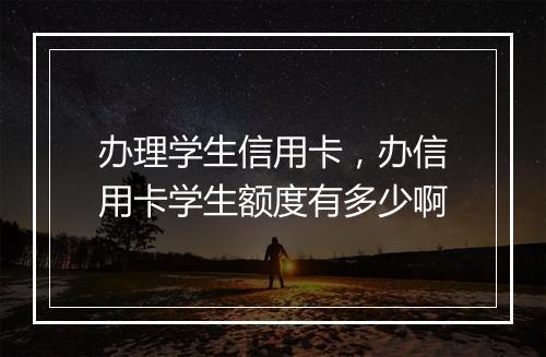 办理学生信用卡，办信用卡学生额度有多少啊