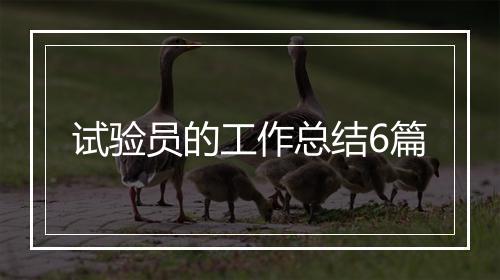 试验员的工作总结6篇