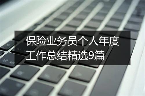 保险业务员个人年度工作总结精选9篇