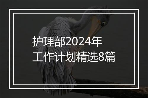 护理部2024年工作计划精选8篇