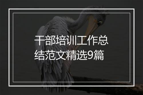 干部培训工作总结范文精选9篇